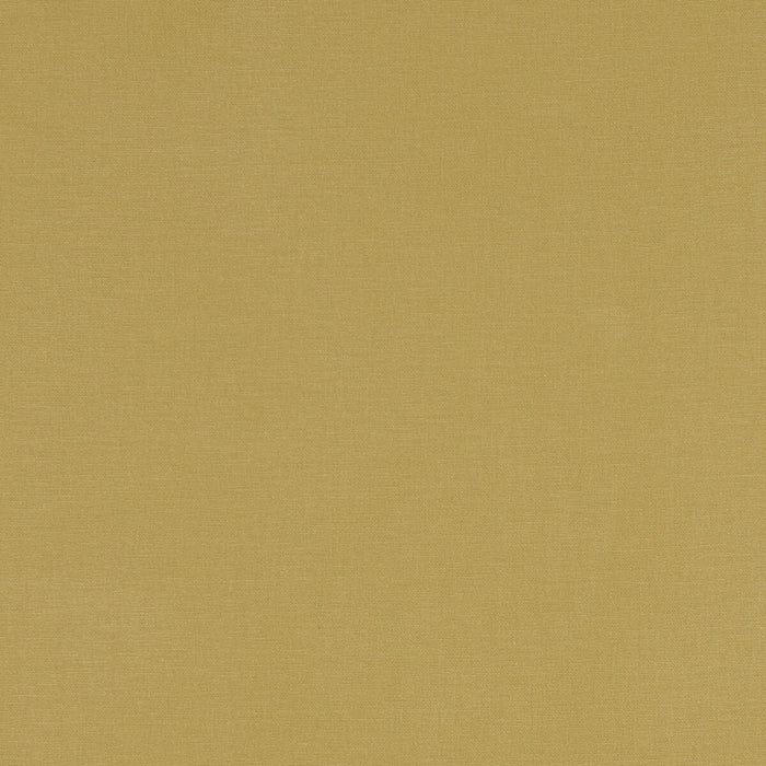 Clarke & Clarke Alora Chartreuse Fabric F1097/09.CAC.0