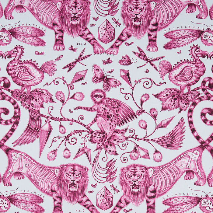 Clarke & Clarke Extinct Magenta Fabric F1109/03.CAC.0