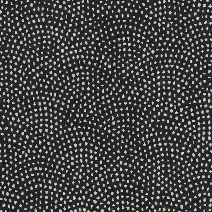 Clarke & Clarke Nebula Noir Fabric F1132/10.CAC.0