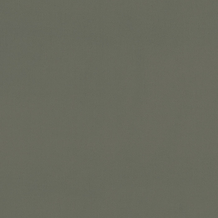 Clarke & Clarke Renzo Charcoal Fabric F1231/03.CAC.0