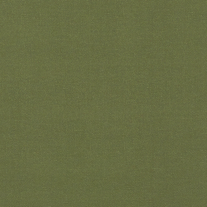 Clarke & Clarke Renzo Forest Fabric F1231/11.CAC.0