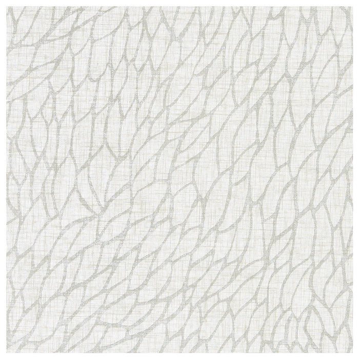 Clarke & Clarke Corallino Sheer Chalk/Silver Fabric F1278/01.CAC.0