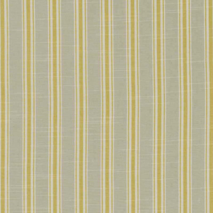 Clarke & Clarke Thornwick Citrus Fabric F1311/03.CAC.0