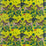 Clarke & Clarke Lost World Velvet Lime Fabric F1477/01.CAC.0