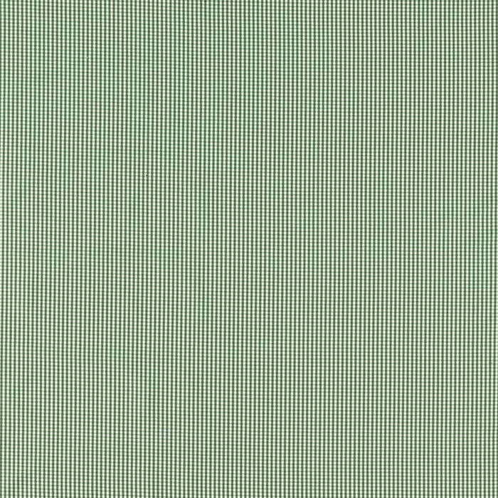 Clarke & Clarke Windsor Racing Green Fabric F1505/08.CAC.0