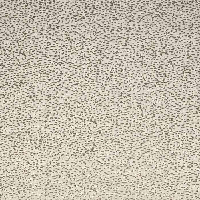 Clarke & Clarke Astral Stone Fabric F1564/07.CAC.0