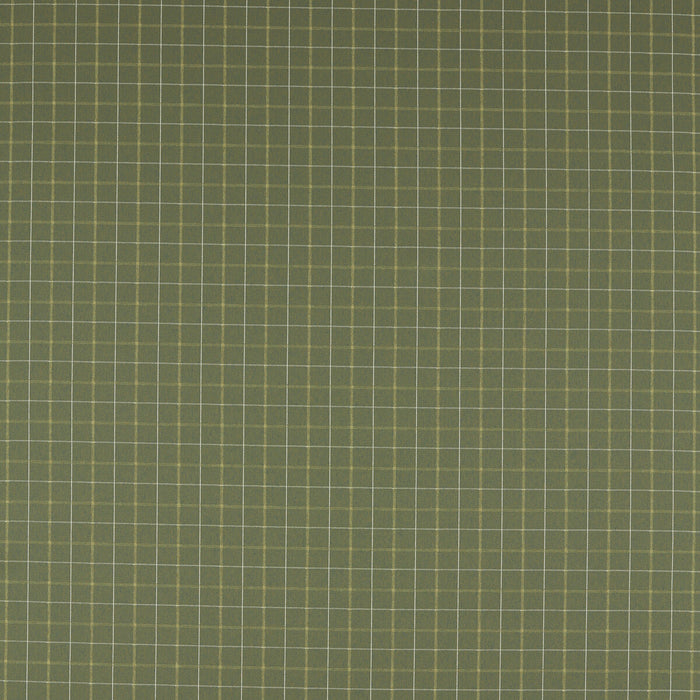 Clarke & Clarke Thornton Moss Fabric F1571/04.CAC.0