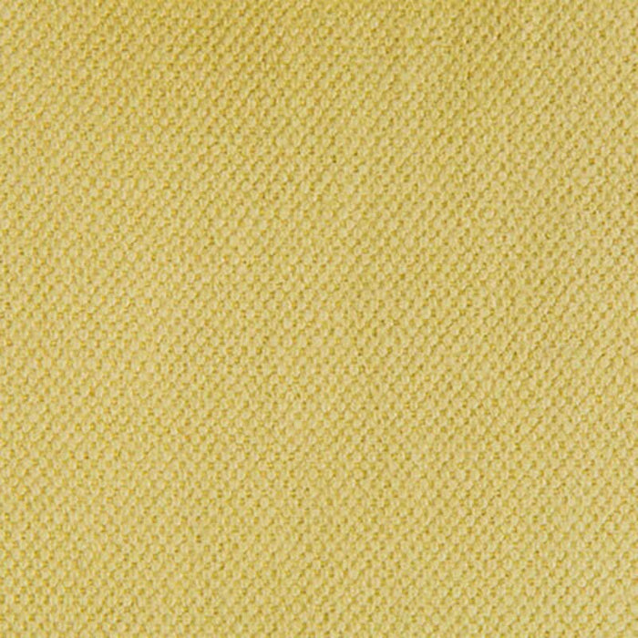 Gaston Y Daniela Lima Trigo Fabric GDT5616.008.0