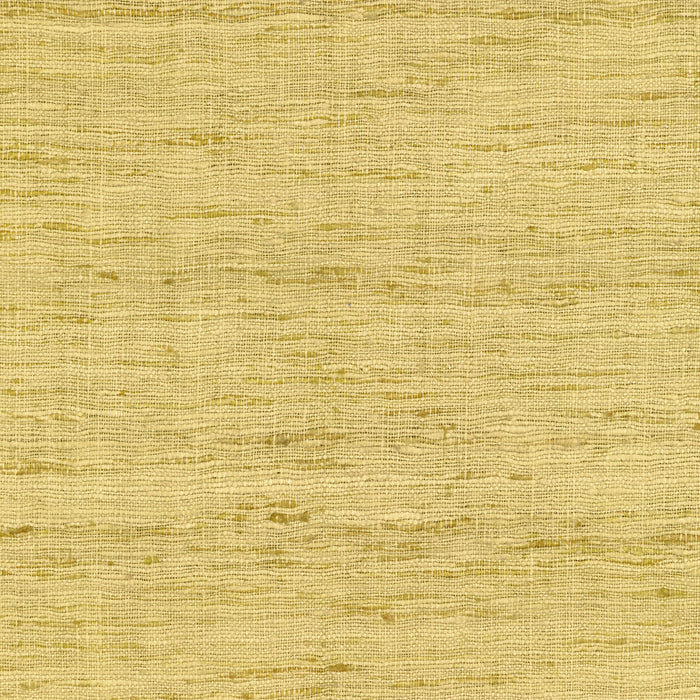 Lee Jofa Modern Sonoma Citrona Fabric GWF-3109.40.0