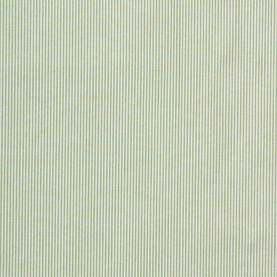 Parkertex Pinstripe Light Green Fabric M7671.720.0