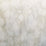 Maya Romanoff River Bed II Bleached Shell Wallpaper MR-FV-20X15