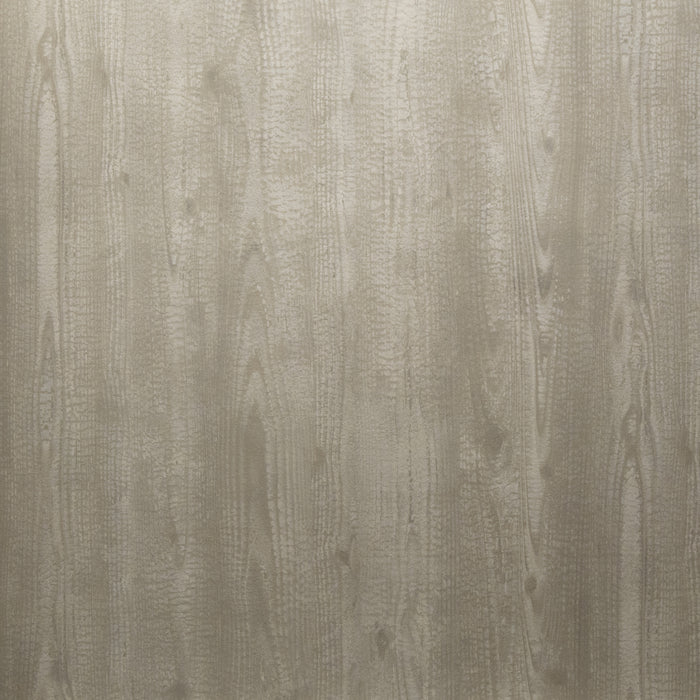 Maya Romanoff Natural Elements Carbonized Silver Birch Wallpaper MR-NE-1222