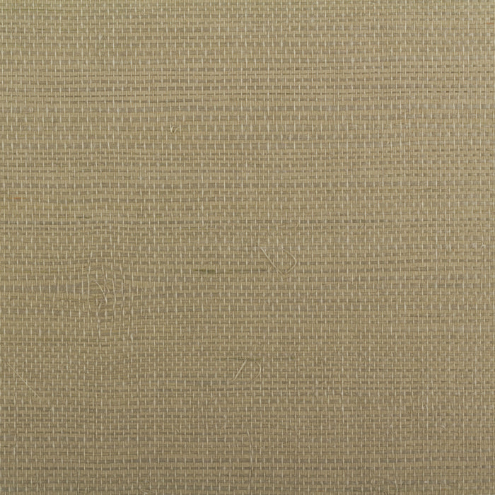 Maya Romanoff Island Weaves Palm Wallpaper MR-TY-2063