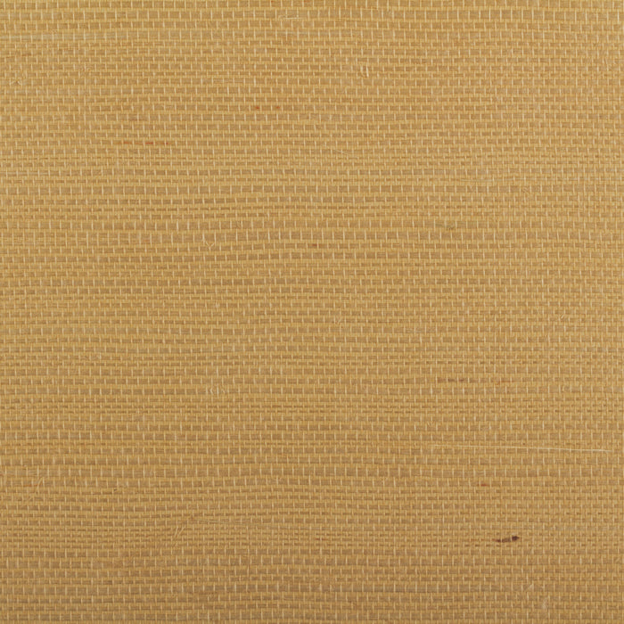 Maya Romanoff Island Weaves Panama Hat Wallpaper MR-TY-2101