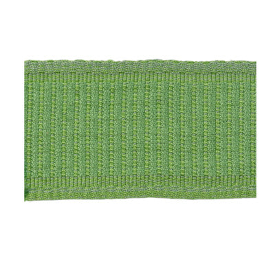 Brunschwig & Fils Coeur Band Spring Trim T8012107.3.0
