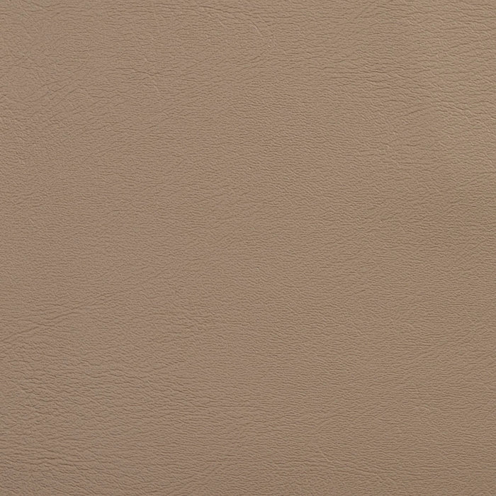 Charlotte Sand Fabric V109
