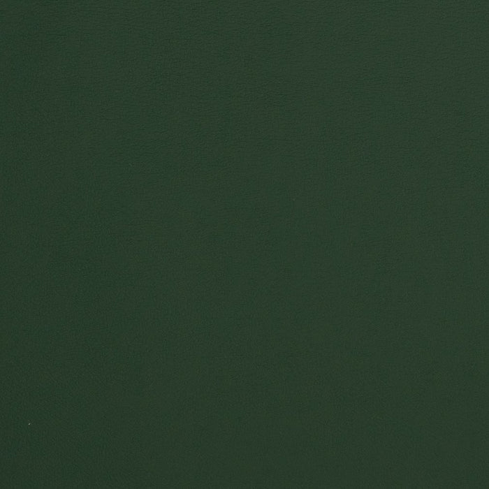 Charlotte Forest Fabric V293