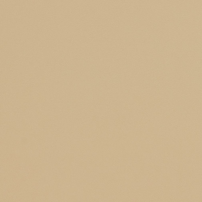 Charlotte Natural Fabric V301