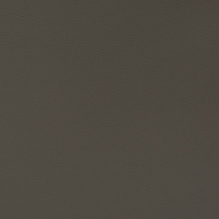 Charlotte Flint Fabric V339