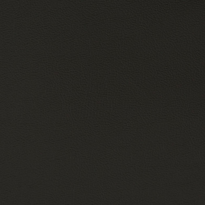 Charlotte Ebony Fabric V395