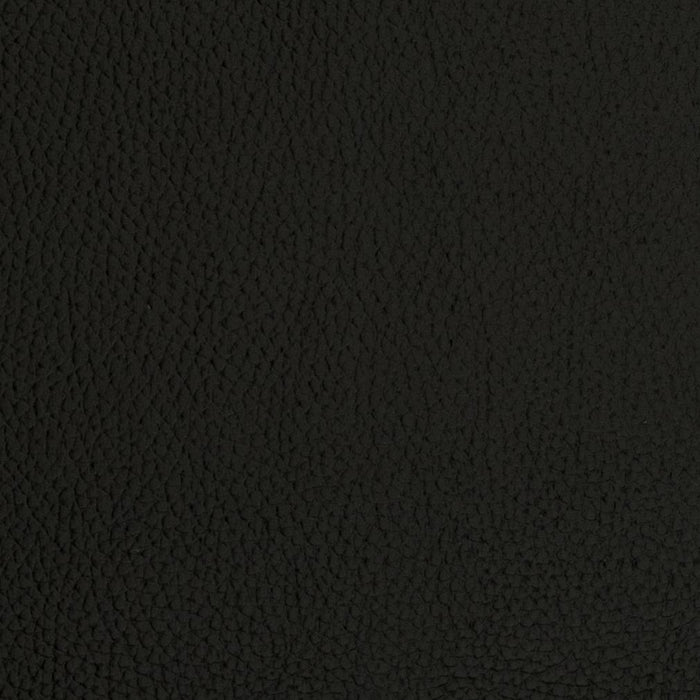 Charlotte Onyx Fabric V423