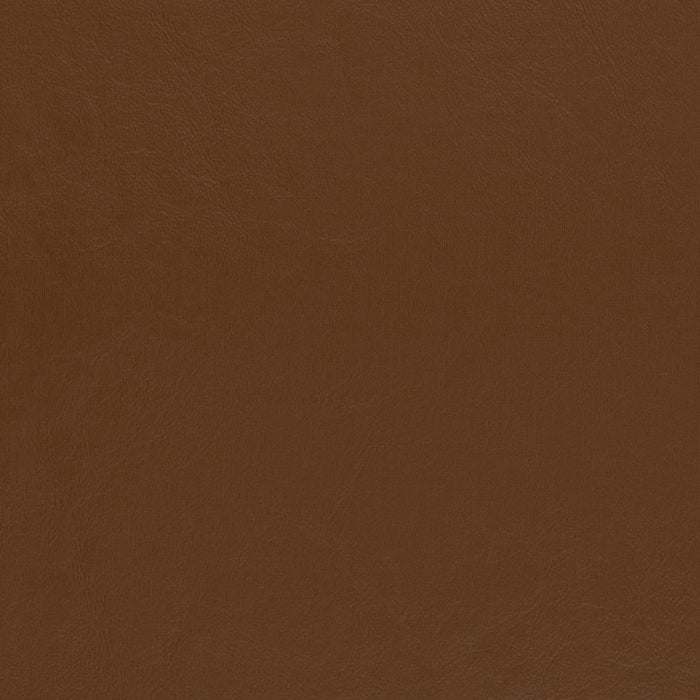 Charlotte Pecan Fabric V434