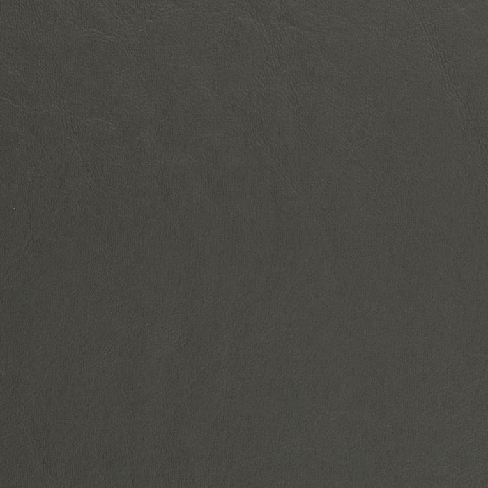 Charlotte Graphite Fabric V443