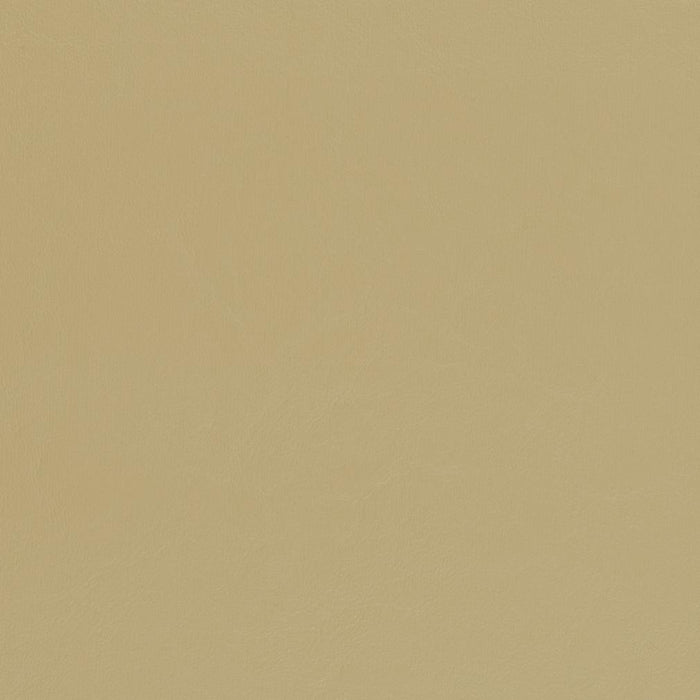 Charlotte Beach Fabric V444