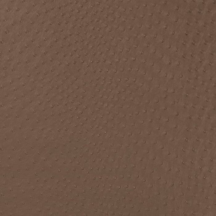 Charlotte Mink Fabric V594