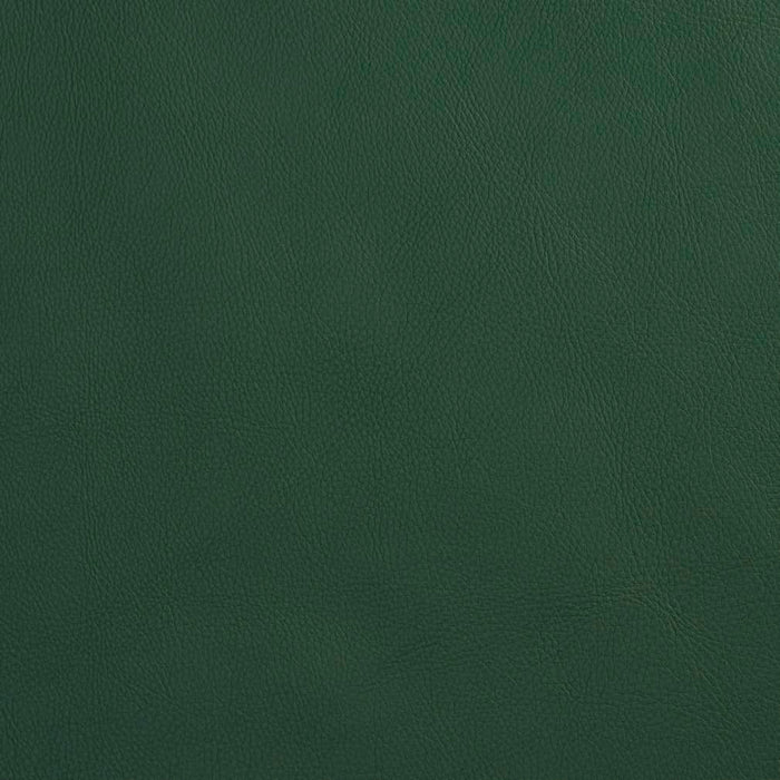 Charlotte Spruce Fabric V639