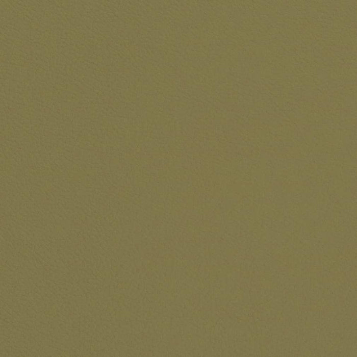 Charlotte Sage Fabric V660