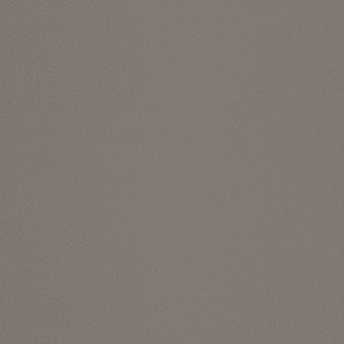 Charlotte Pewter Fabric V669