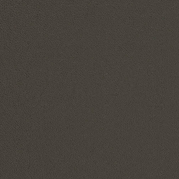 Charlotte Iron Fabric V681