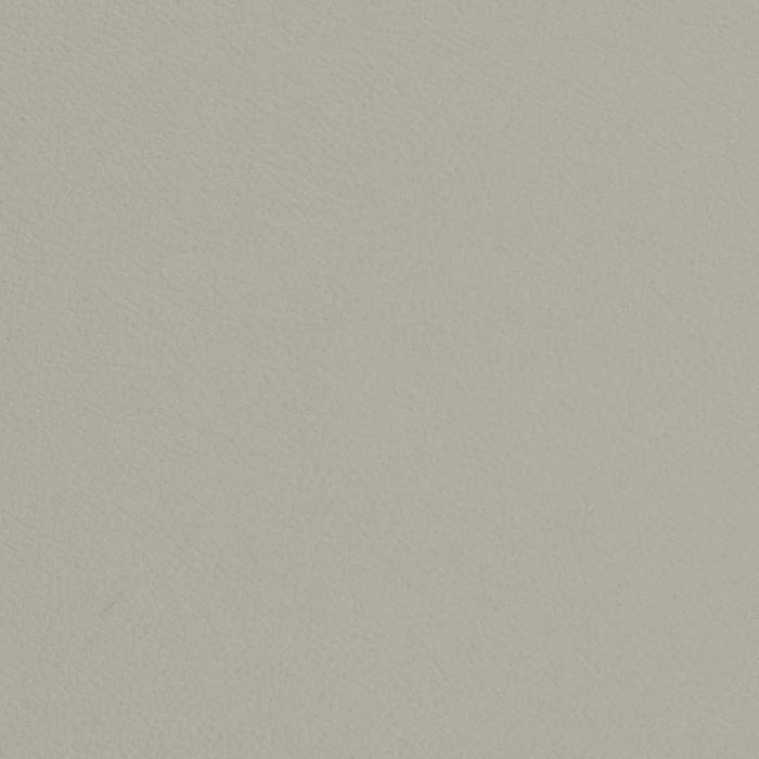 Charlotte Honeydew Fabric V704