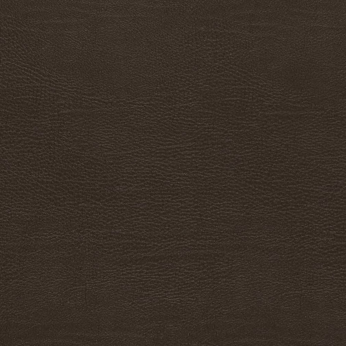 Charlotte Chocolate Fabric V730