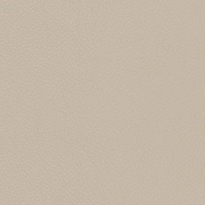 Charlotte Fog Fabric V731