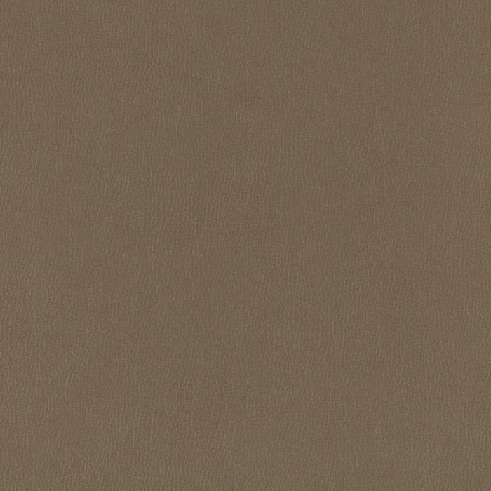 Charlotte Iron Fabric V786