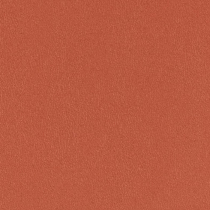 Charlotte Chili Fabric V793