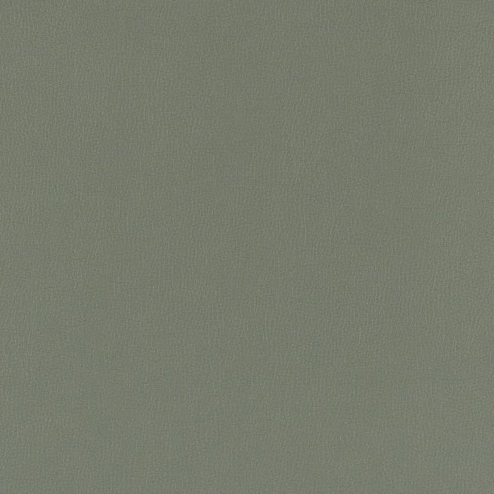 Charlotte Slate Fabric V798