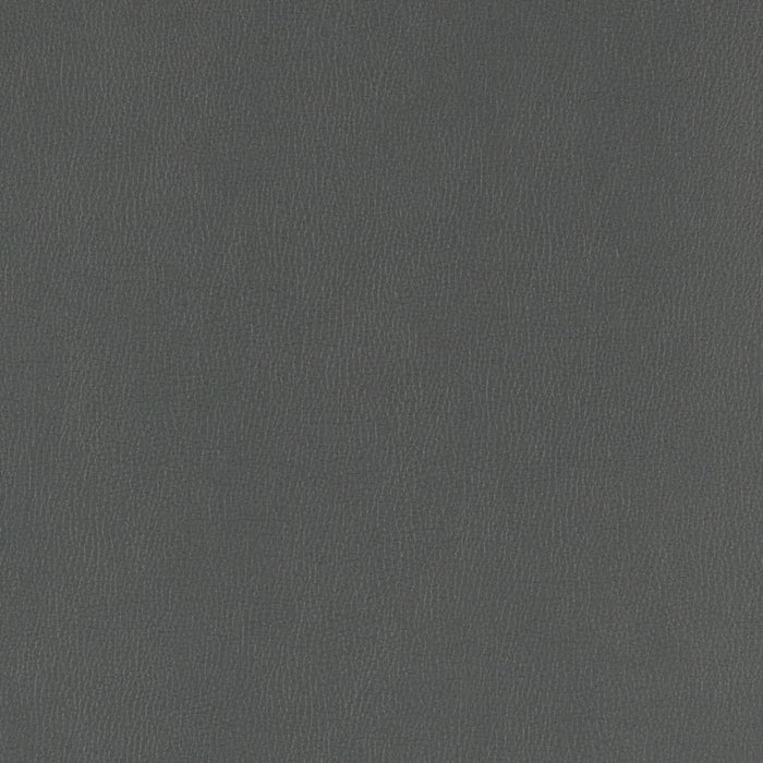 Charlotte Coal Fabric V805