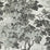 Zoffany Richmond Park Charcoal 310059 Wallpaper ZINW310059