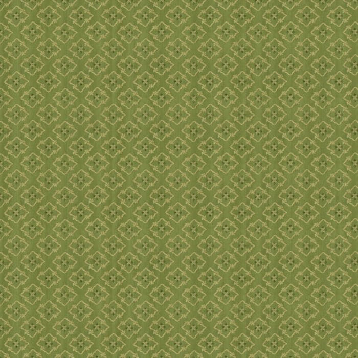 Brunschwig & Fils Creek Figured Woven Green Fabric BR-89709.435.0