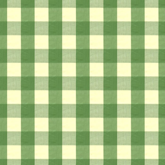 Brunschwig & Fils Exchequer Cotton Check Jade Fabric BR-89725.464.0