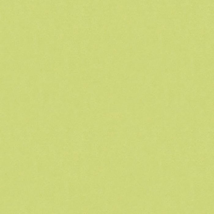 Brunschwig & Fils Autun Mohair Velvet Celery Fabric BR-89778.404.0