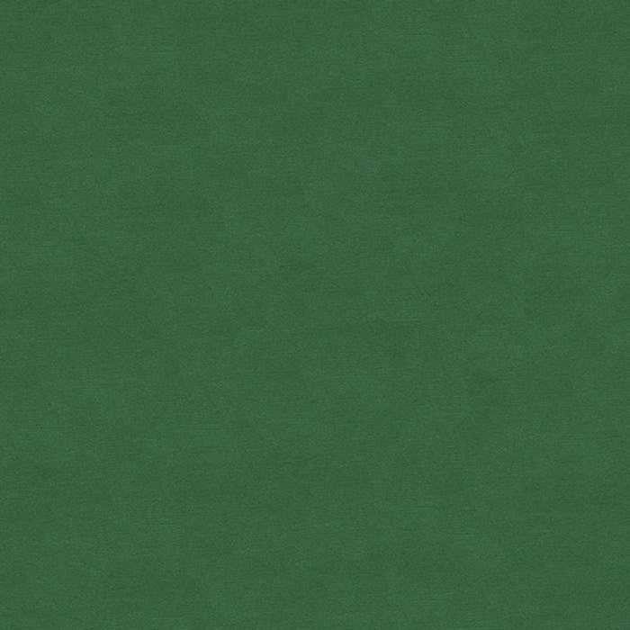 Brunschwig & Fils Lubeck Cotton Velvet Ivy Fabric BR-89779.440.0
