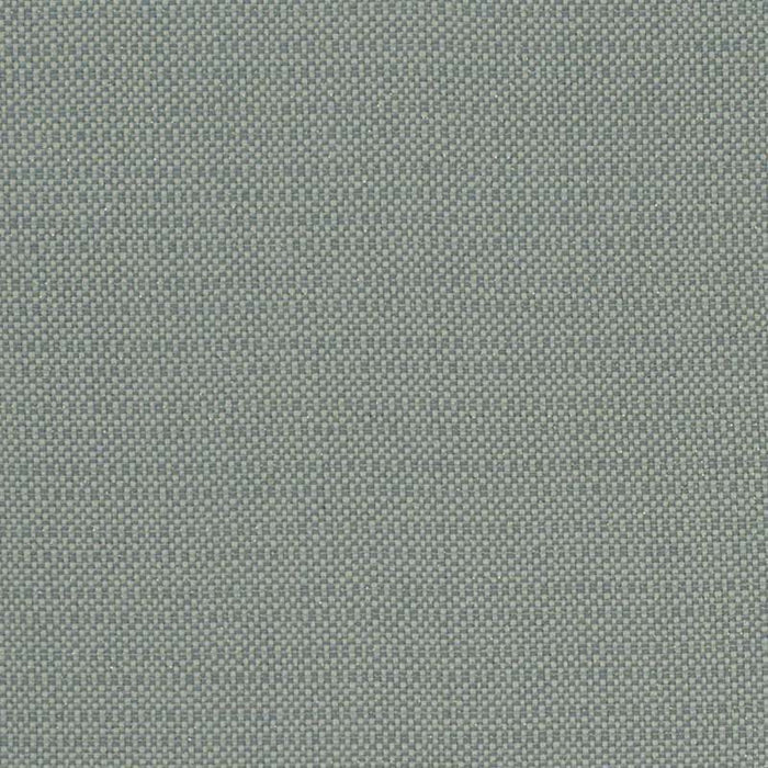 Clarke & Clarke Kauai Mineral Fabric F1299/06.CAC.0