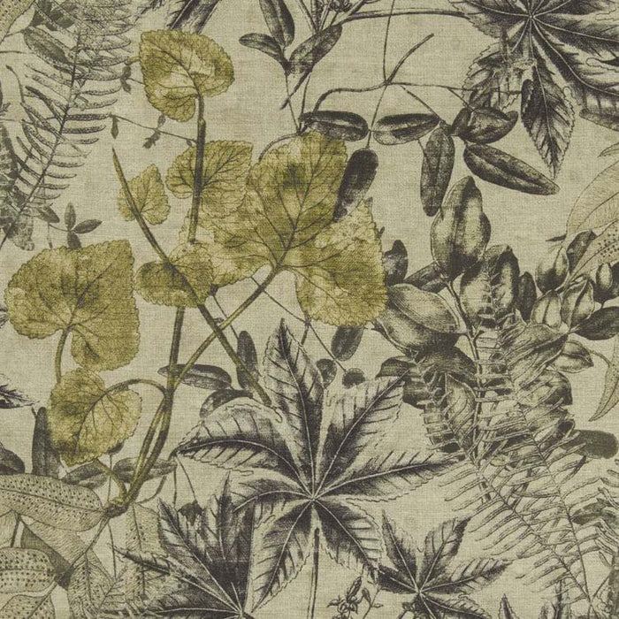 Clarke & Clarke Madagascar Charcoal/Charteuse Fabric F1301/01.CAC.0