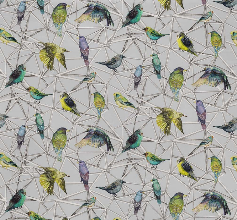 Osborne & Little Aviary 1 Fabric F7011-01