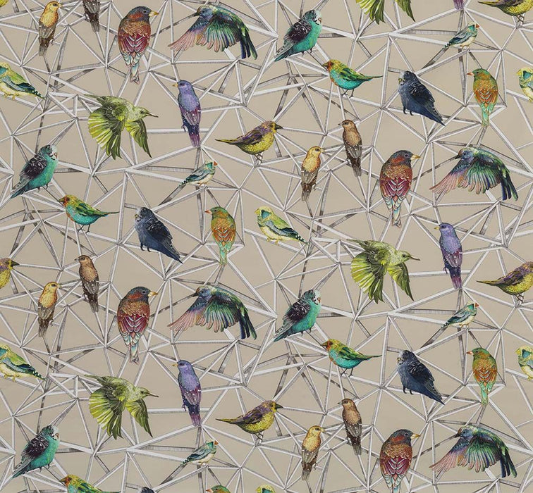 Osborne & Little Aviary 2 Fabric F7011-02