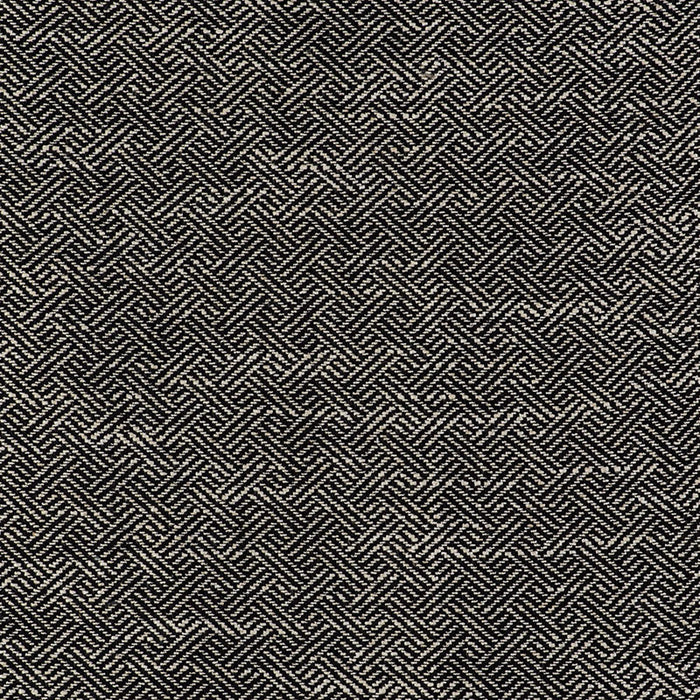 Gaston Y Daniela Enea Negro Fabric GDT5518.015.0